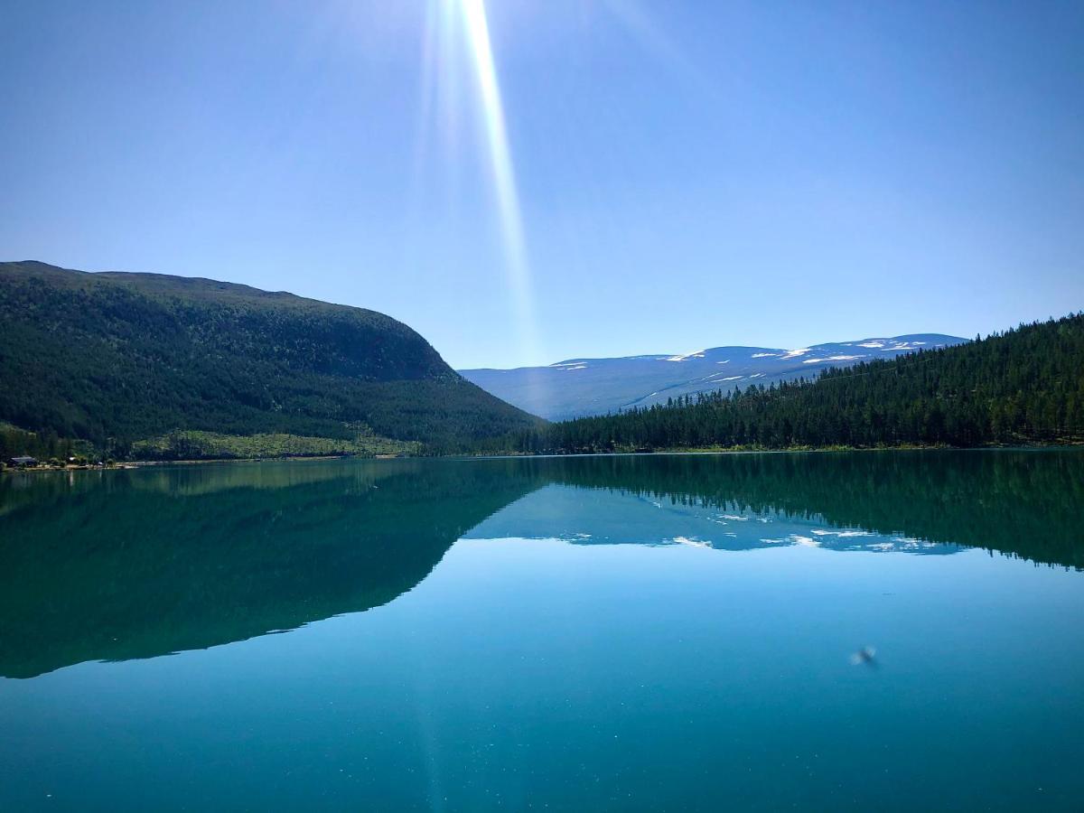 Reinheimen Lodge Skjak ภายนอก รูปภาพ