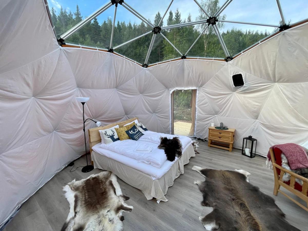 Reinheimen Lodge Skjak ภายนอก รูปภาพ