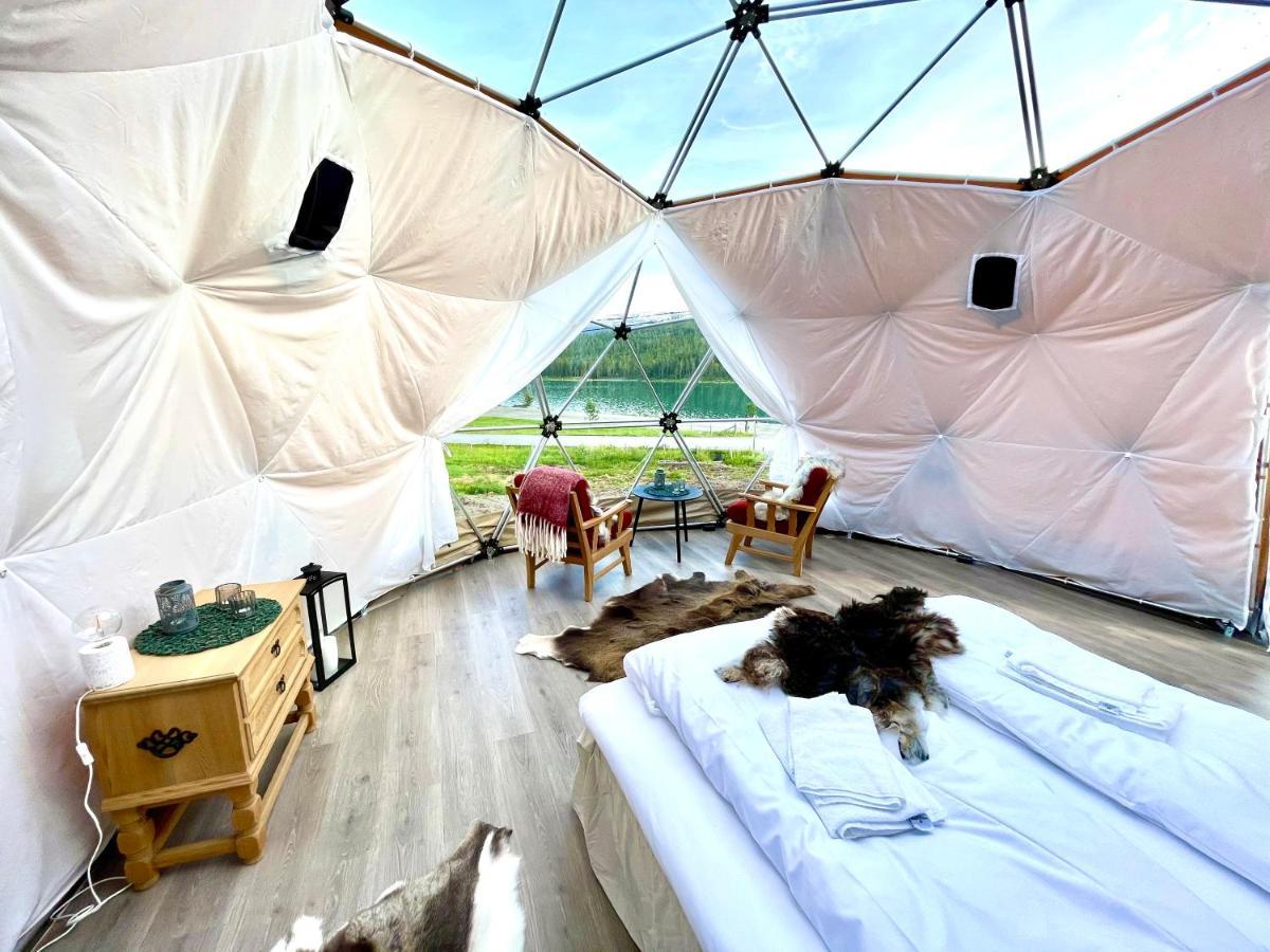 Reinheimen Lodge Skjak ภายนอก รูปภาพ