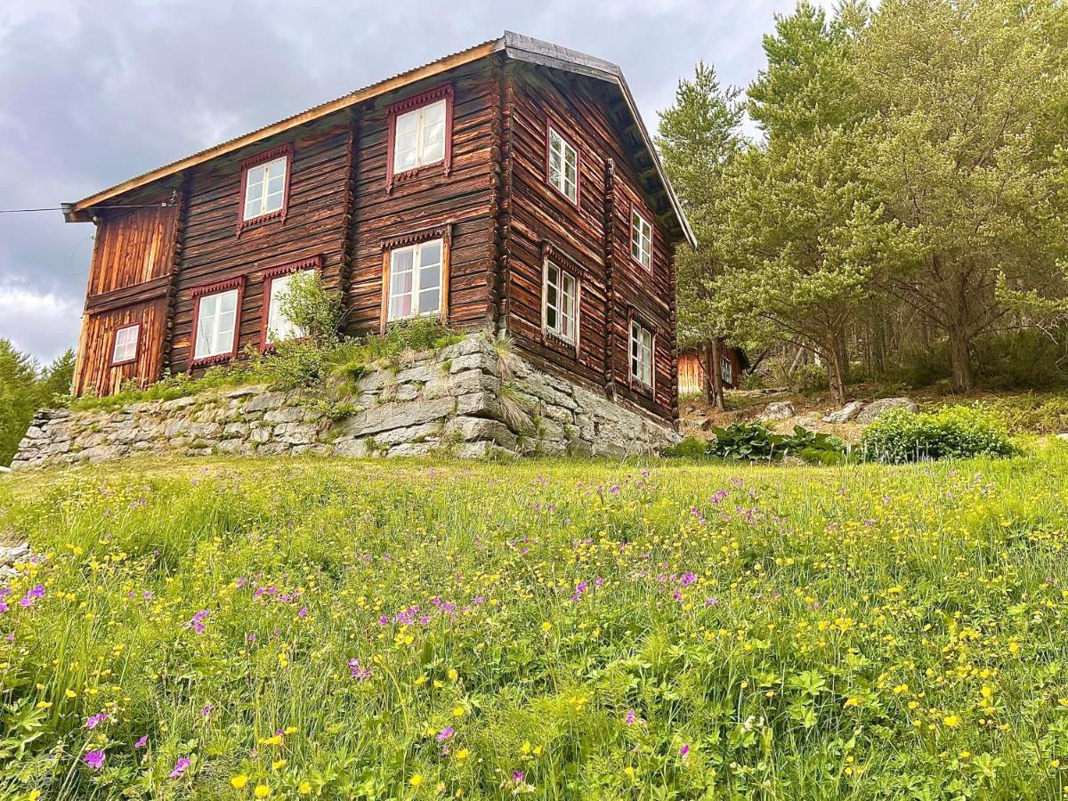 Reinheimen Lodge Skjak ภายนอก รูปภาพ