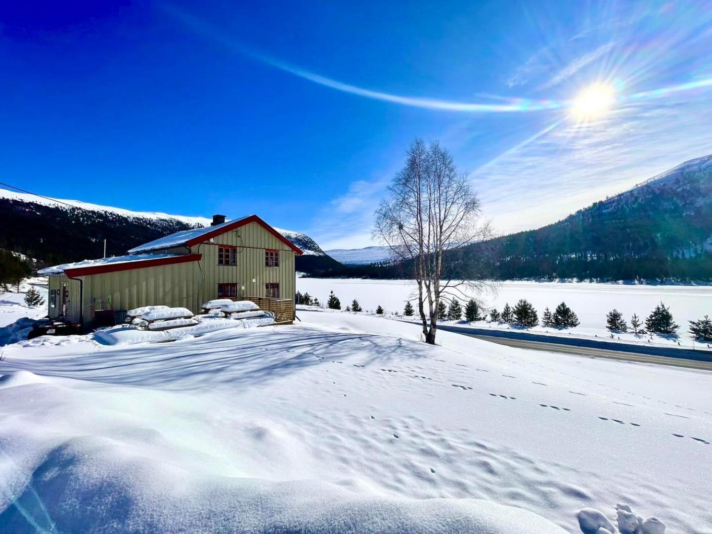 Reinheimen Lodge Skjak ภายนอก รูปภาพ