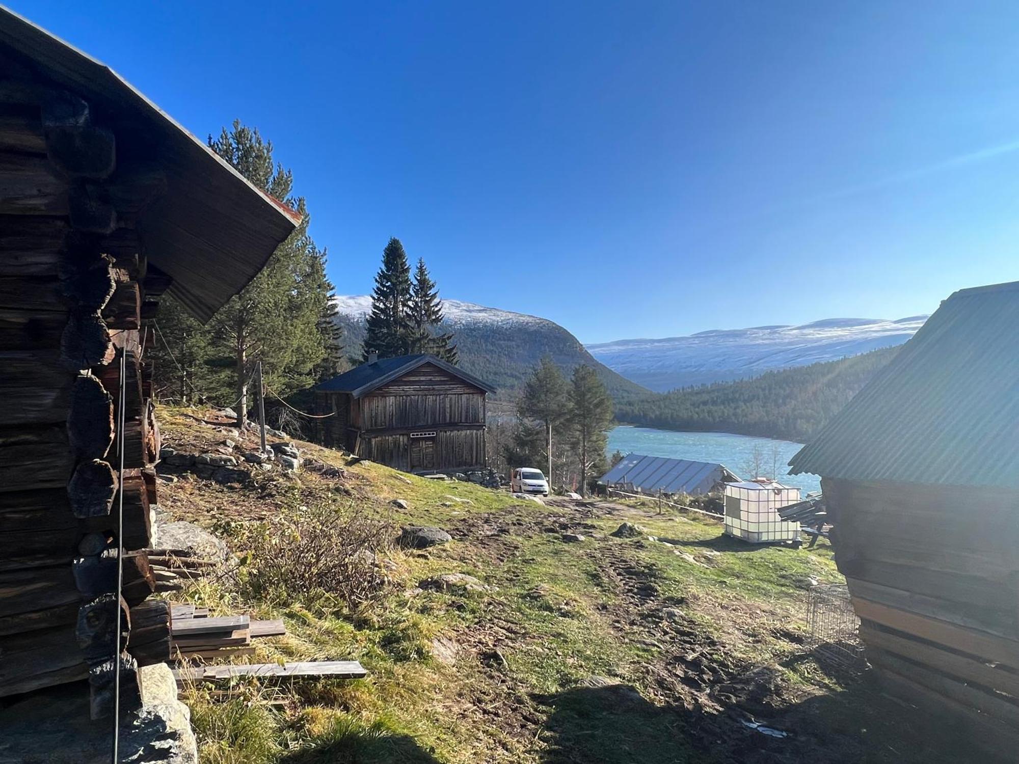 Reinheimen Lodge Skjak ภายนอก รูปภาพ